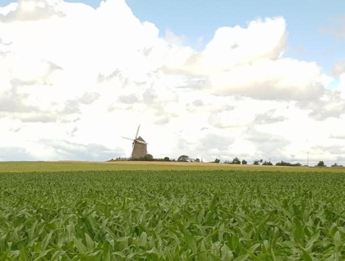 Gite Timeo Mont Saint-Michel Pontorson Luaran gambar