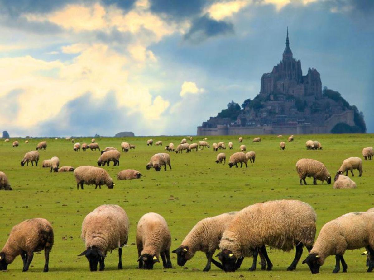 Gite Timeo Mont Saint-Michel Pontorson Luaran gambar